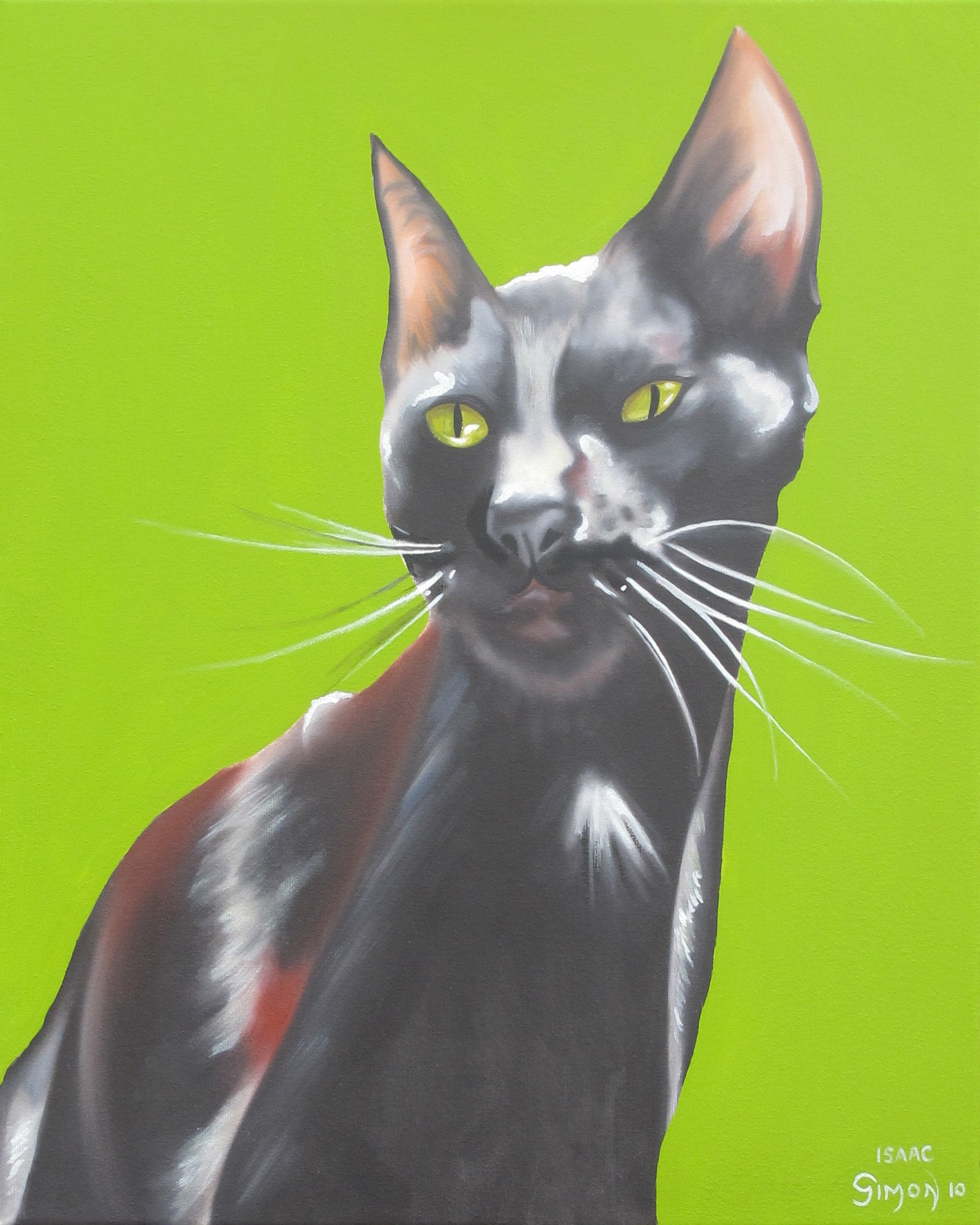 Pet portrait painting of Isaac