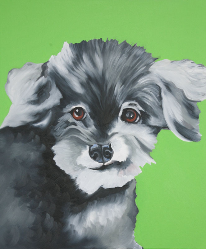 Pet portrait painting of Rocky
